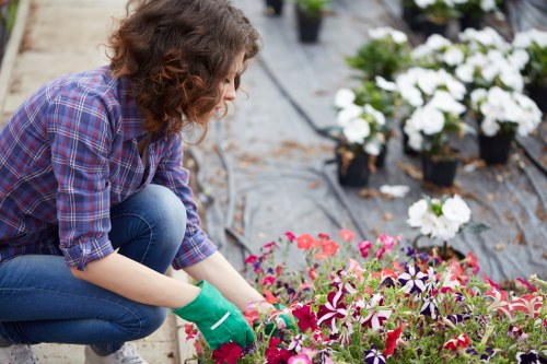 Garden complaint process introduction for Eastcote gardeners