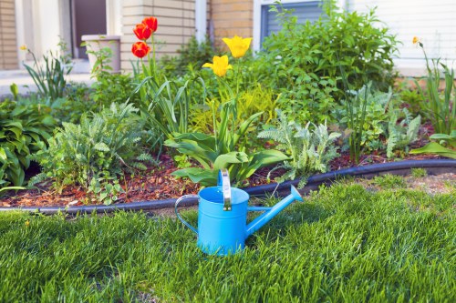 Garden waste removal and tidy-up service in Eastcote
