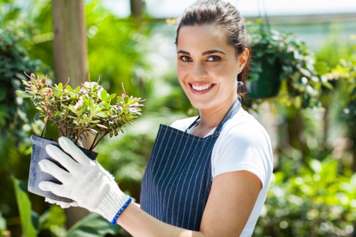 Professional tree surgery in Eastcote for safe and healthy tree care
