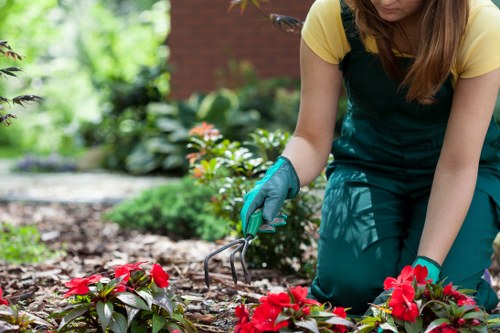 Gardeners Eastcote modern slavery statement introduction
