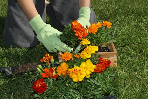 Professional Eastcote gardening team working in a seasonal garden