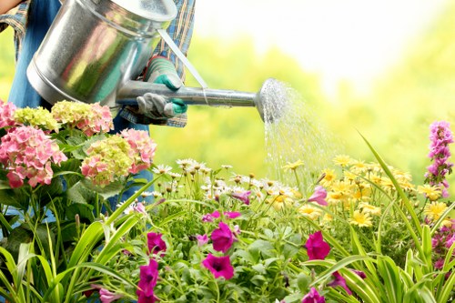 Free quote discussion for a compact Eastcote front garden