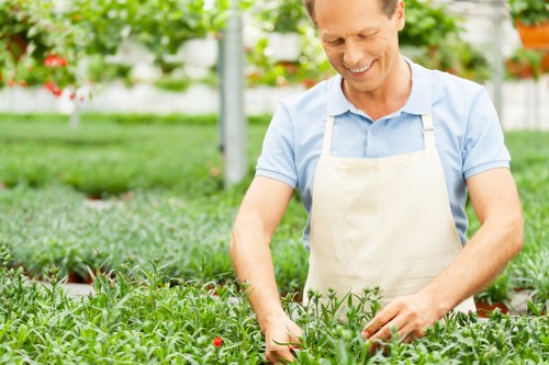 Garden planning and hard landscaping features for an Eastcote property