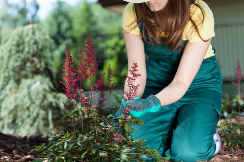 Accessible format request section for Eastcote gardening services