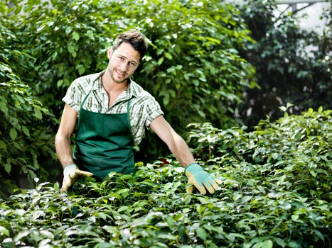 Reviewing a gardening service concern with records