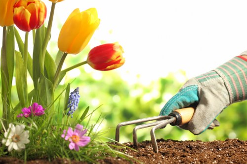 Soft landscaping and plant maintenance for Eastcote gardens