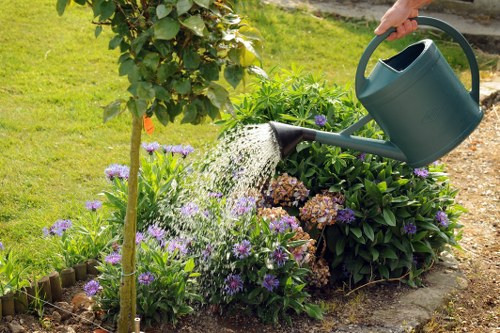 Stump grinding and tree removal service for Eastcote properties