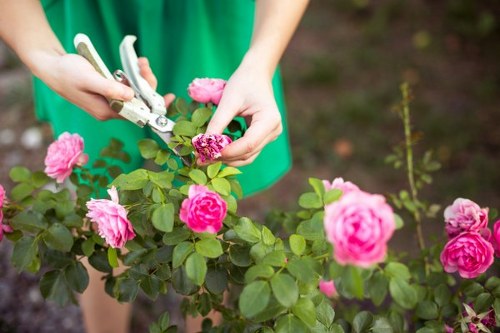 England and Wales governing law for gardening services