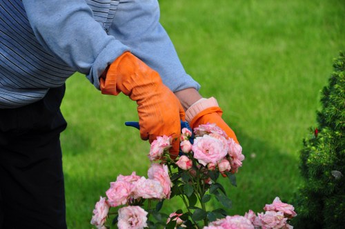 Even grass cutting service for Eastcote homes