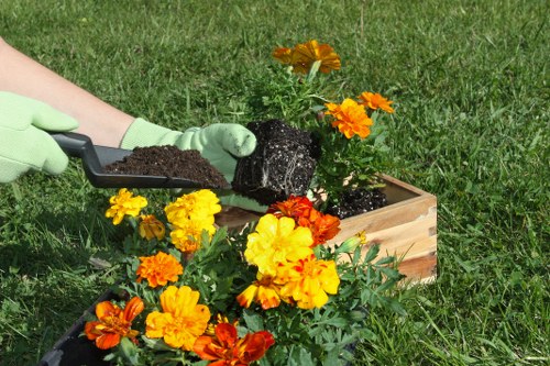 Professional gardeners in Eastcote caring for borders and shrubs