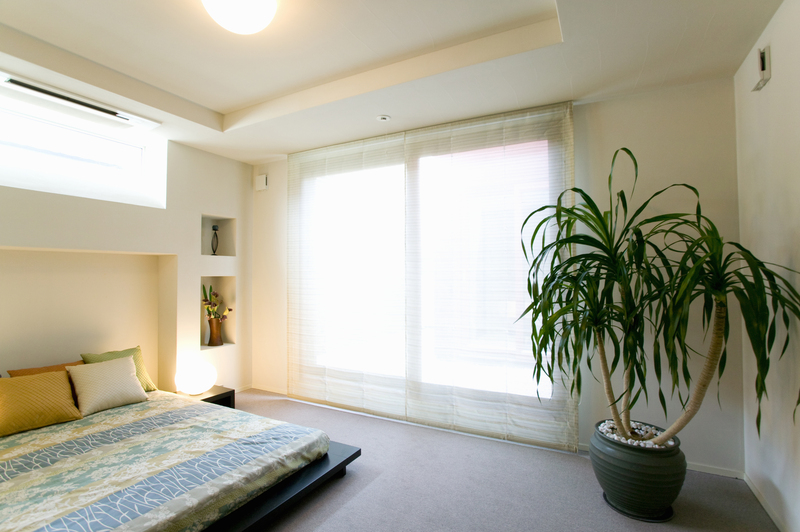 landscape design Garden