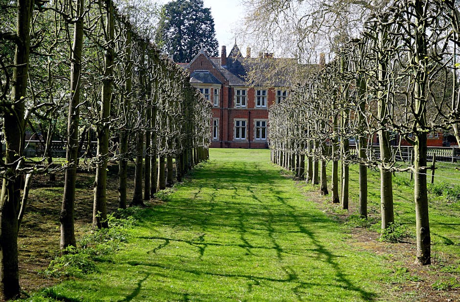 A spacious garden scene viewed from beneath a large, tree with drooping branches and textured bark, the garden features a well-maintained, lush green lawn bordered by flower beds with a variety of pla